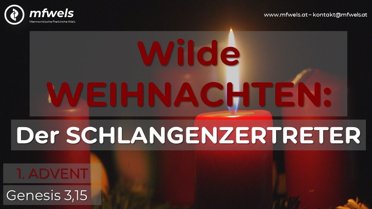 Wilde Weihnachten: Der Schlangenzertreter (1. Advent)