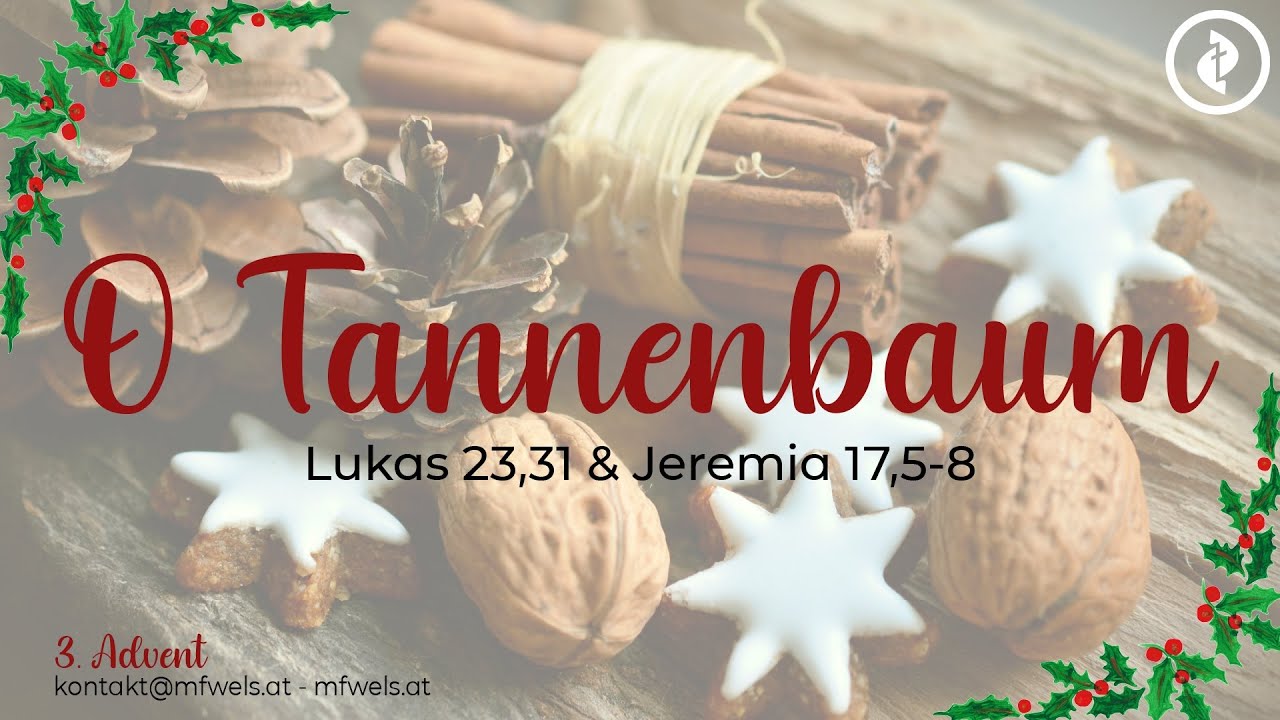 O Tannenbaum! (3. Advent) – Predigt: Christian Bensel